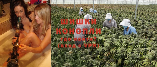 эйфоретик Белокуриха