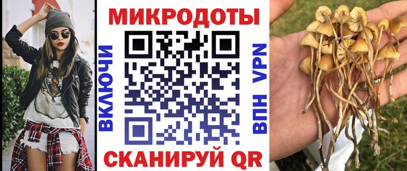 Псилоцибиновые грибы мухоморы  Ермолино 